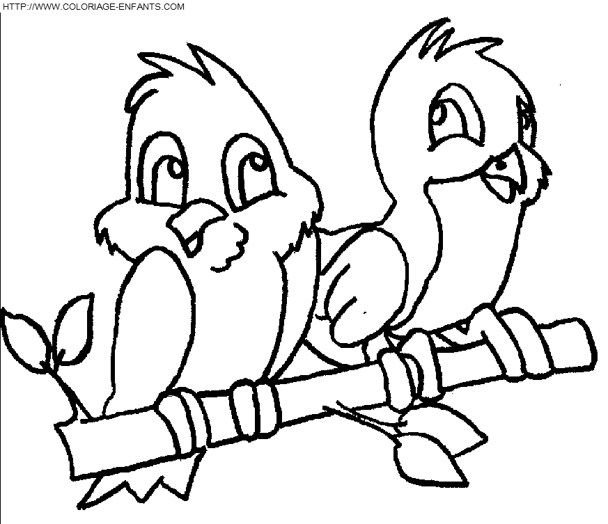 dibujo Pajaros