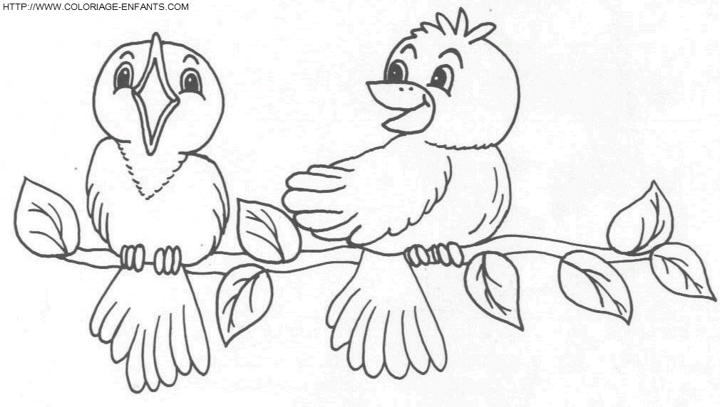 dibujo Pajaros