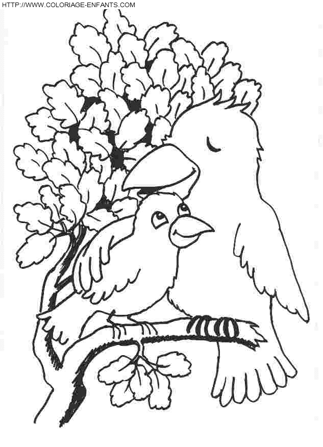 dibujo Pajaros