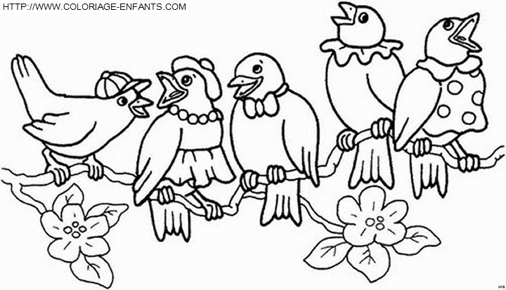 dibujo Pajaros