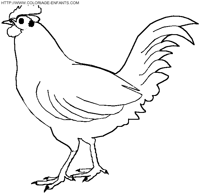 dibujo Pajaros