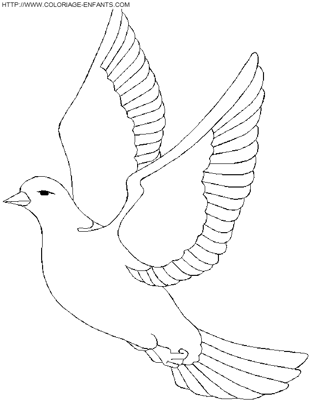 dibujo Pajaros