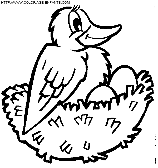 dibujo Pajaros