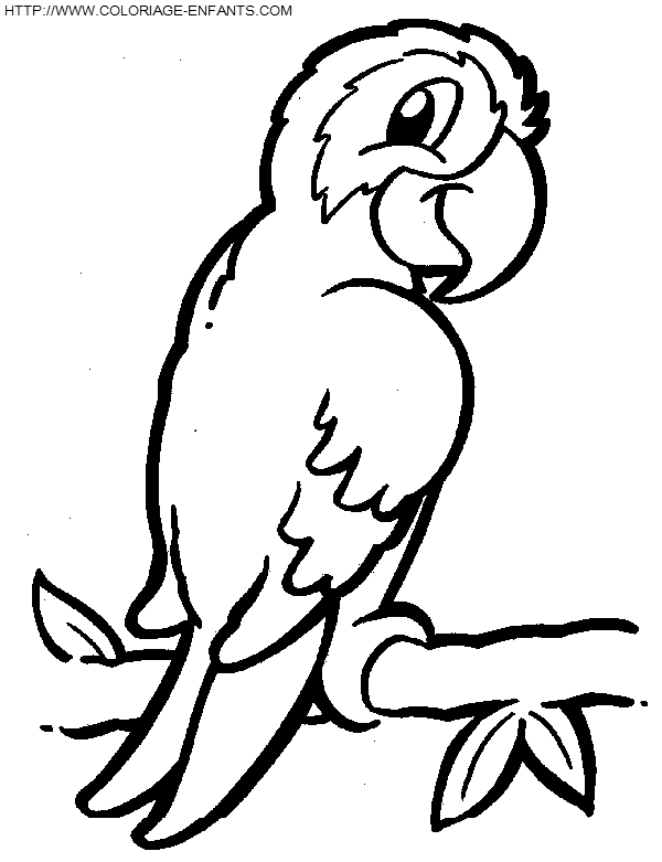 dibujo Pajaros