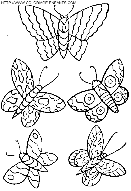 dibujo Mariposas