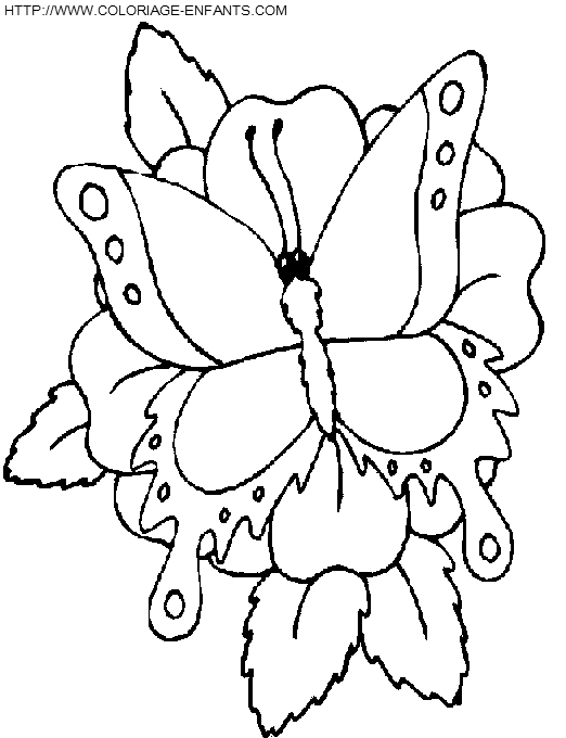 dibujo Mariposas