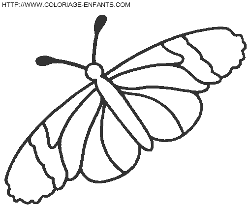 dibujo Mariposas