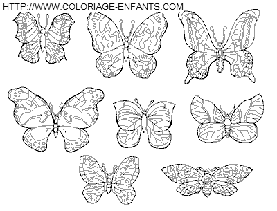 dibujo Mariposas