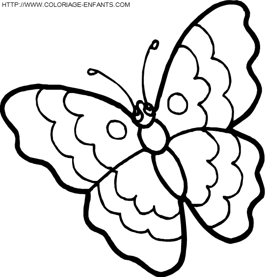 dibujo Mariposas