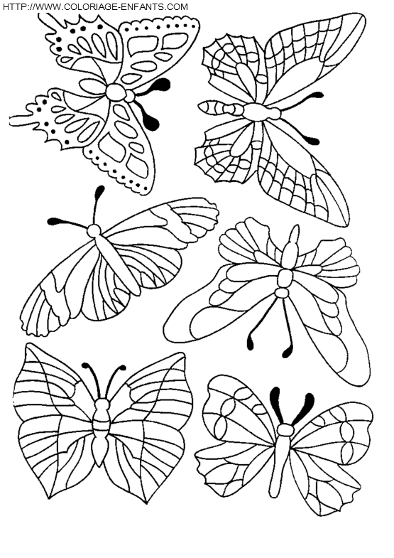 dibujo Mariposas