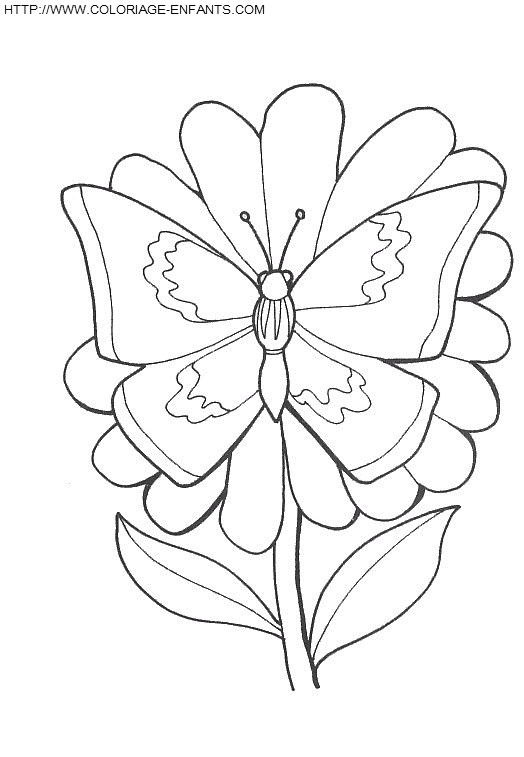 dibujo Mariposas