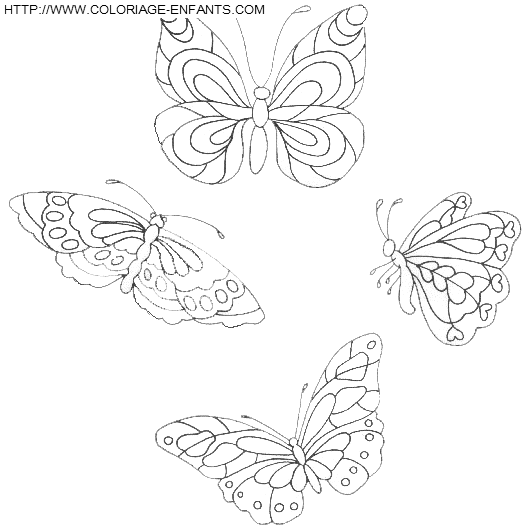 dibujo Mariposas