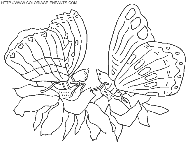 dibujo Mariposas