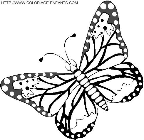 dibujo Mariposas