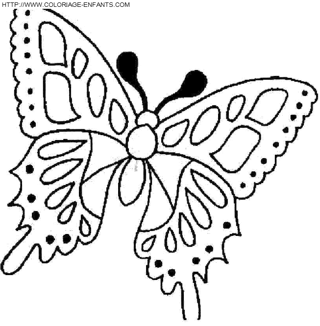 dibujo Mariposas