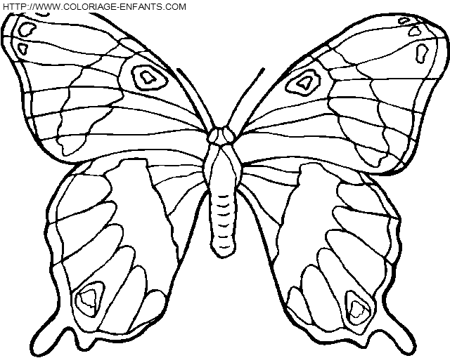 dibujo Mariposas