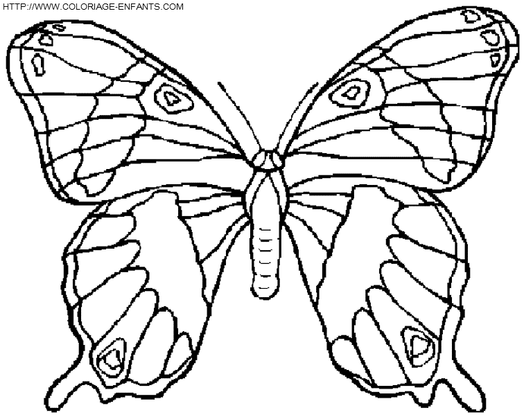 dibujo Mariposas