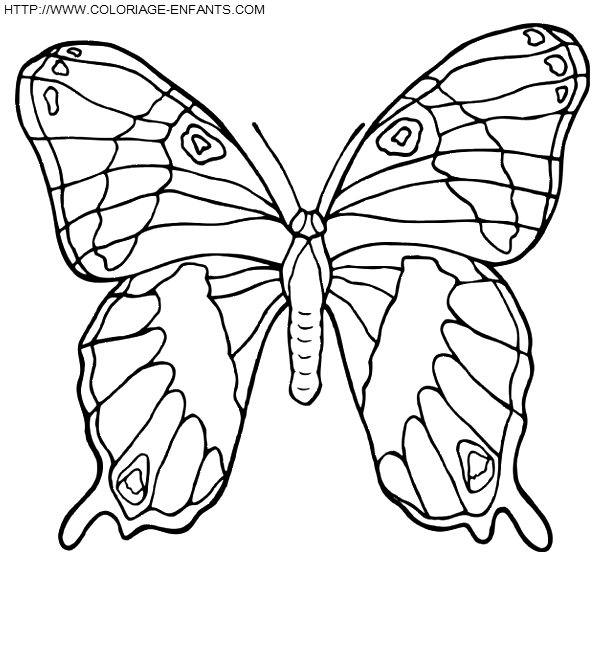 dibujo Mariposas