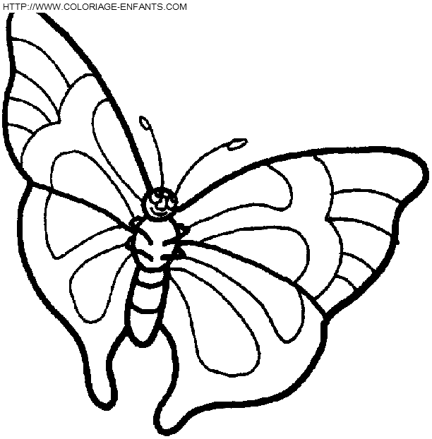 dibujo Mariposas