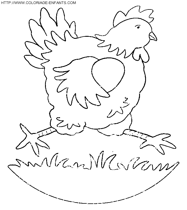 dibujo Gallinas