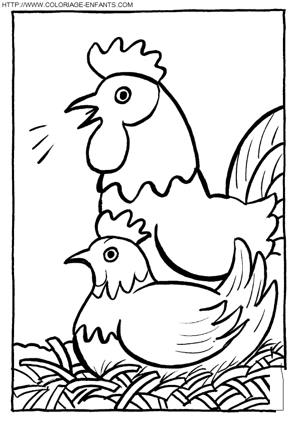 dibujo Gallinas