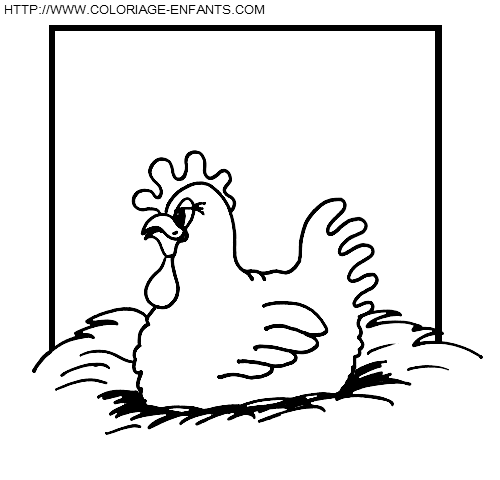 dibujo Gallinas