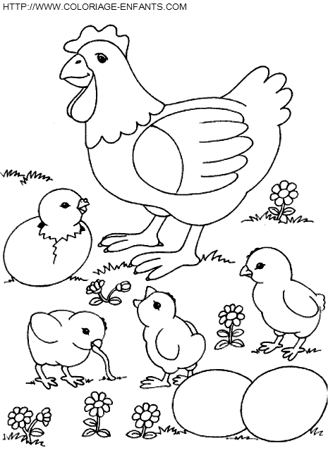 dibujo Gallinas