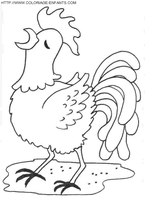 dibujo Gallinas