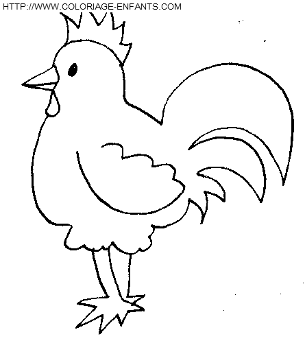 dibujo Gallinas