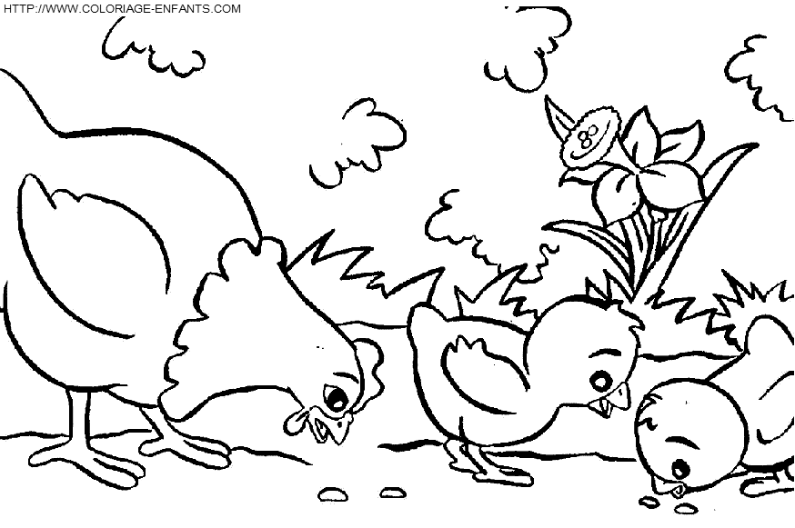 dibujo Gallinas