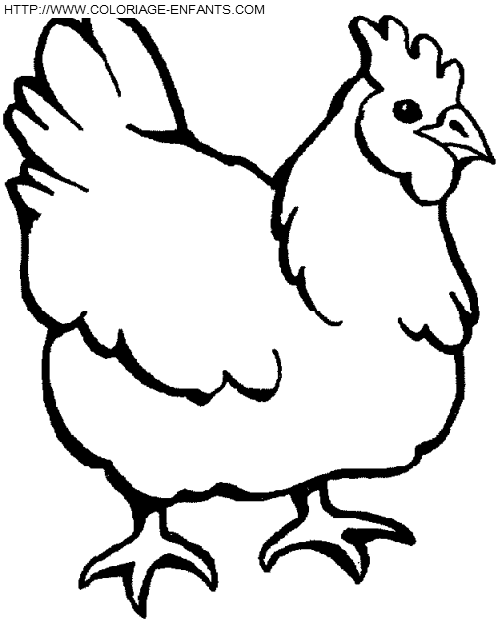 dibujo Gallinas