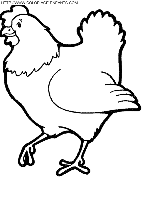 dibujo Gallinas