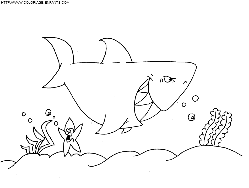 dibujo Tiburon