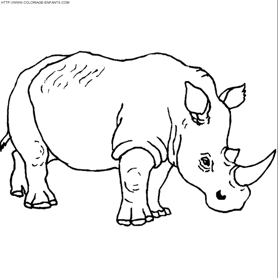 dibujo Rhinoceros