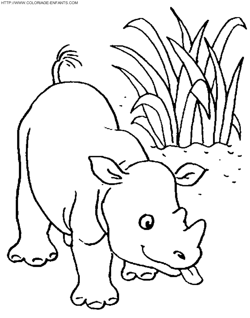 dibujo Rhinoceros