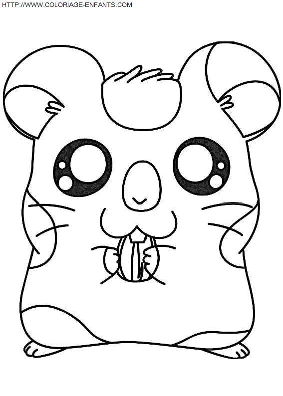 dibujo Hamtaro