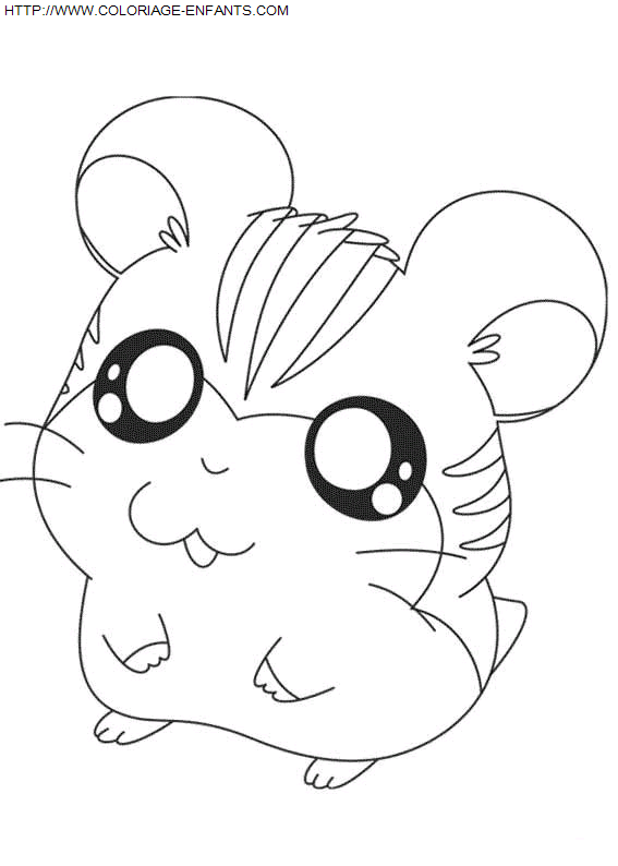 dibujo Hamtaro