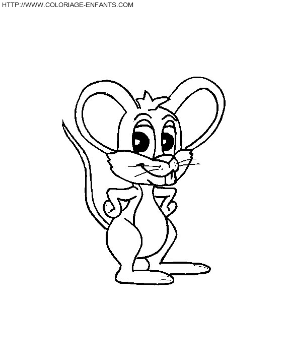 dibujo Ratas