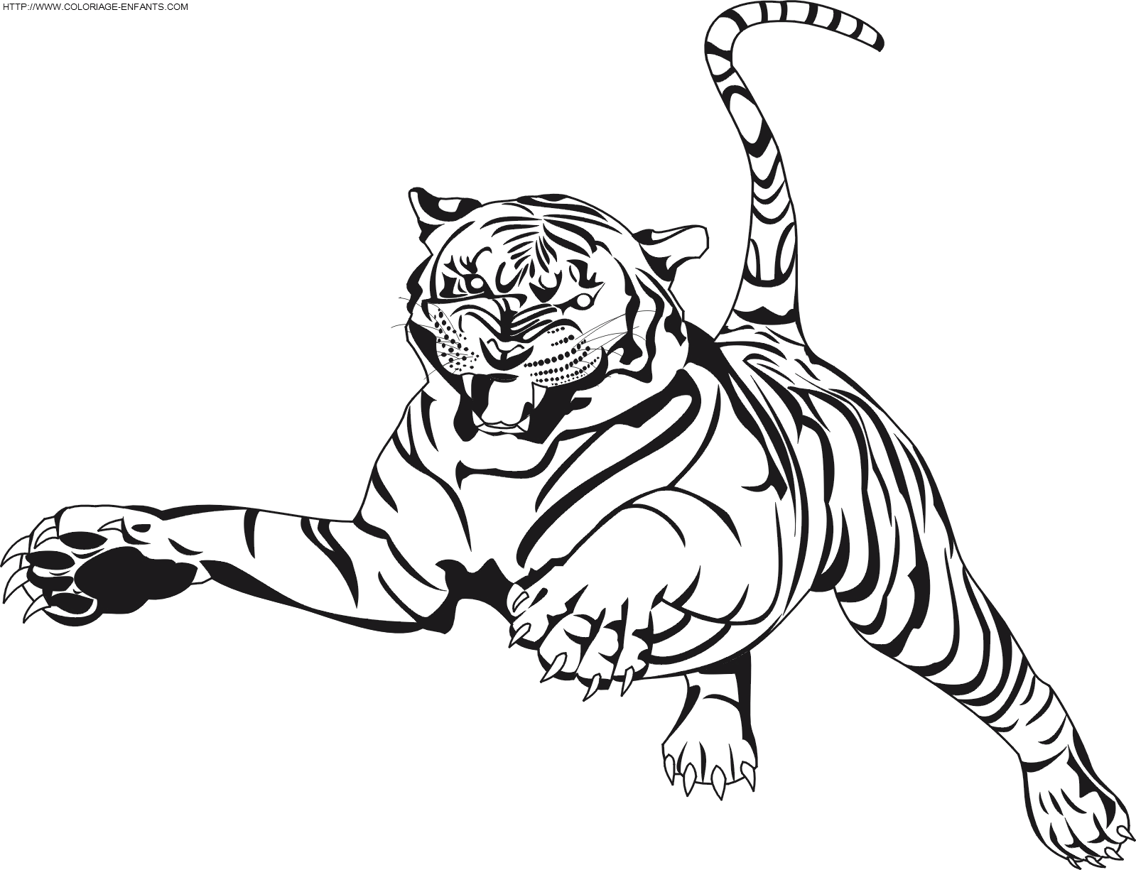 Dibujo Tigre A Colorear Paginas De Dibujos Animales Para Los Ninos