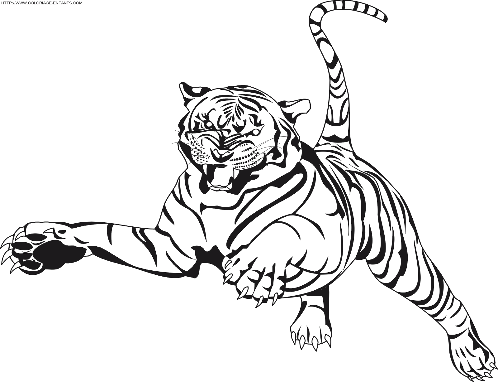 dibujo Tigre