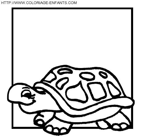 dibujo Tortugas