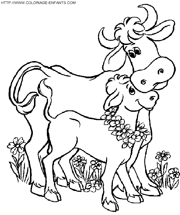 dibujo Vacas