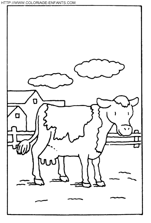 dibujo Vacas