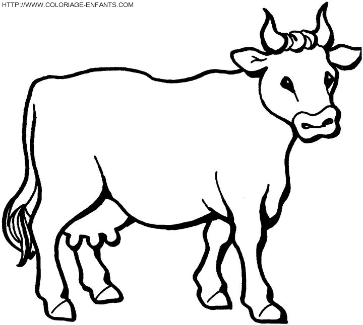 dibujo Vacas