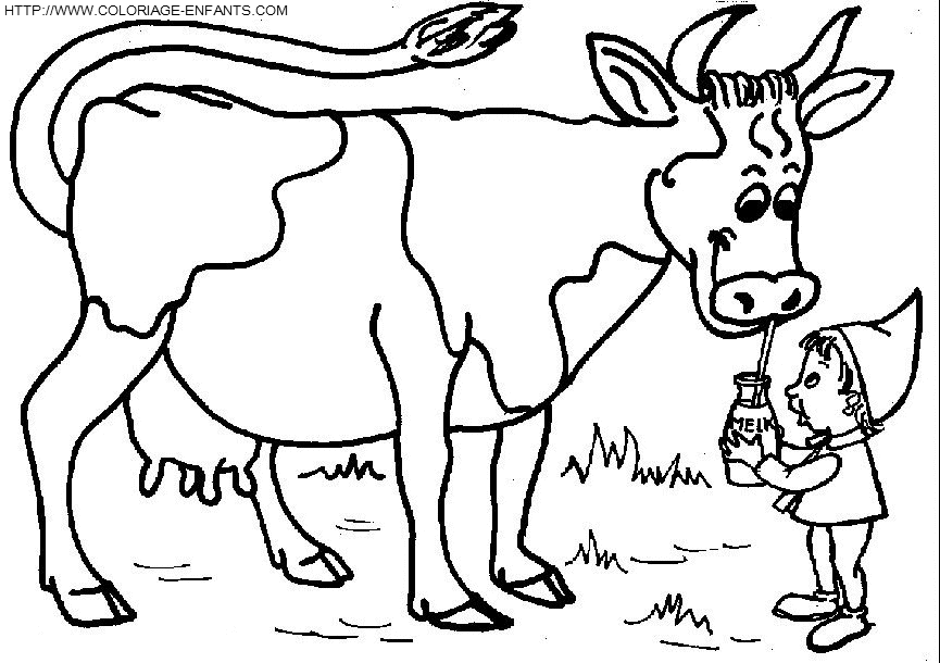 dibujo Vacas