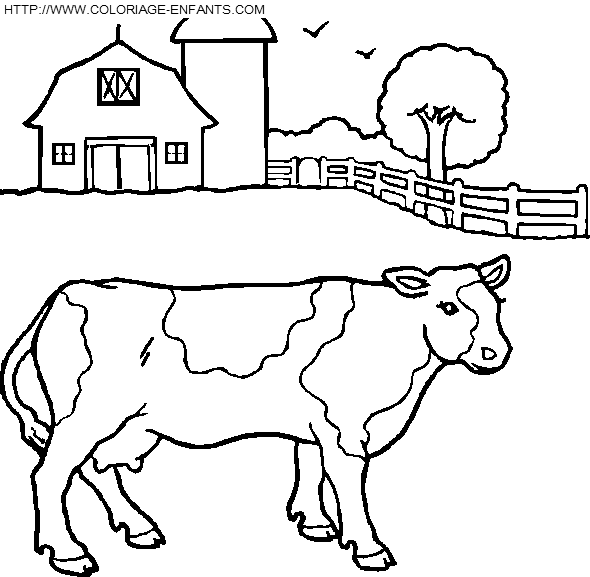 dibujo Vacas