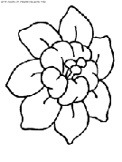 dibujo flor