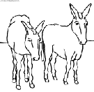 dibujo burros