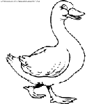 dibujo patos