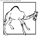 dibujo camellos